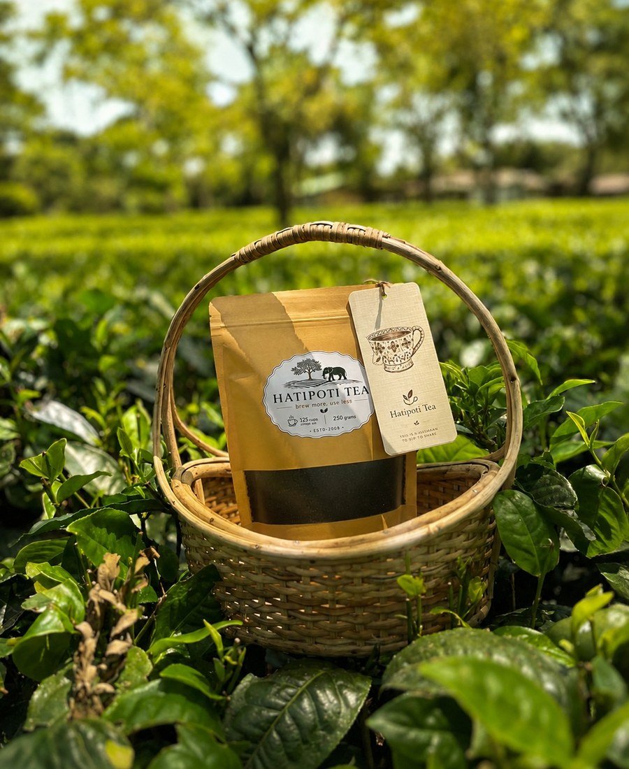 Hatipoti Assam CTC Tea pack in a basket in the garden